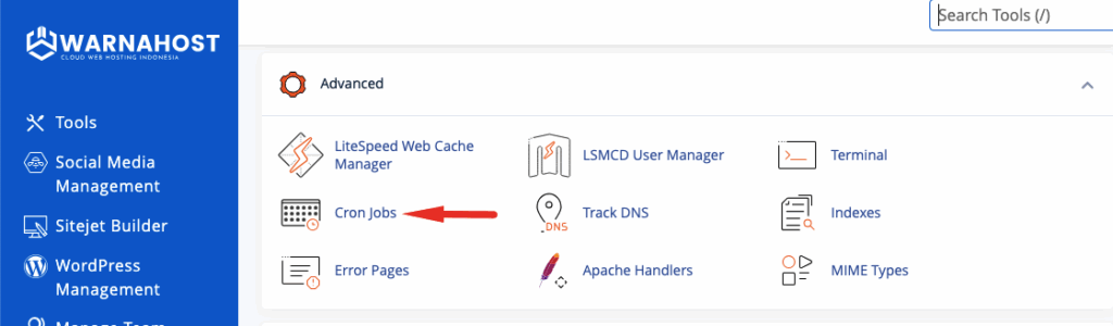 Cara Kill Process di cPanel